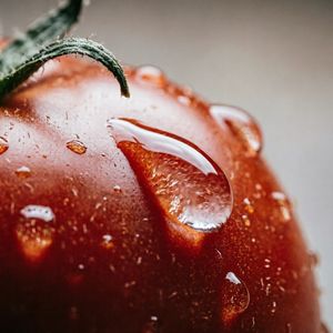 Qwen Image 2 output for the prompt: Close-up macro shot of a drop of water sliding down a ripe tomato, studio lighting, 100mm lens, f/2.8