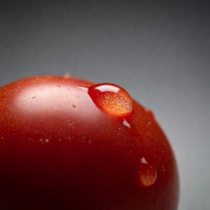 Grok Imagine output for the prompt: Close-up macro shot of a drop of water sliding down a ripe tomato, studio lighting, 100mm lens, f/2.8