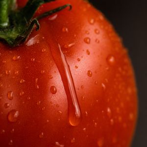GPT Image 2 output for the prompt: Close-up macro shot of a drop of water sliding down a ripe tomato, studio lighting, 100mm lens, f/2.8