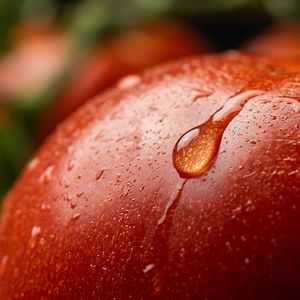 Nano Banana 2 output for the prompt: Close-up macro shot of a drop of water sliding down a ripe tomato, studio lighting, 100mm lens, f/2.8
