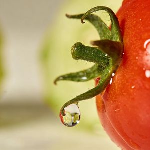 Seedream 4.5 output for the prompt: Close-up macro shot of a drop of water sliding down a ripe tomato, studio lighting, 100mm lens, f/2.8
