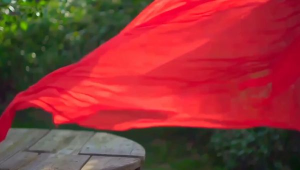 Mochi output for the prompt: A red silk scarf blows off a wooden table in a gentle breeze, drifting in slow motion across a sunlit garden before catching on a rosebush. 50mm lens.