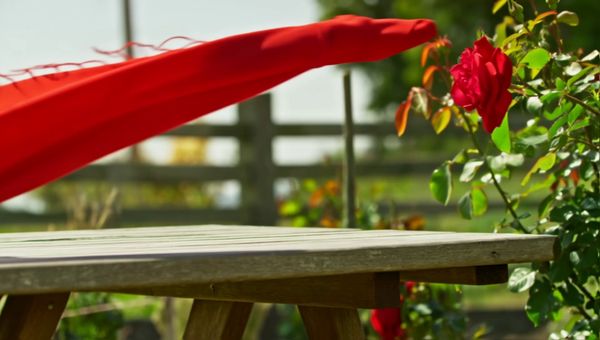 Luma Ray 2 output for the prompt: A red silk scarf blows off a wooden table in a gentle breeze, drifting in slow motion across a sunlit garden before catching on a rosebush. 50mm lens.
