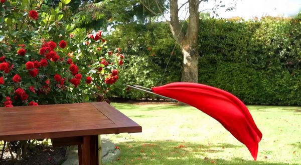 Wan v2.2 output for the prompt: A red silk scarf blows off a wooden table in a gentle breeze, drifting in slow motion across a sunlit garden before catching on a rosebush. 50mm lens.