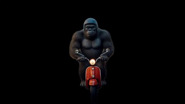 Remove Video Background example