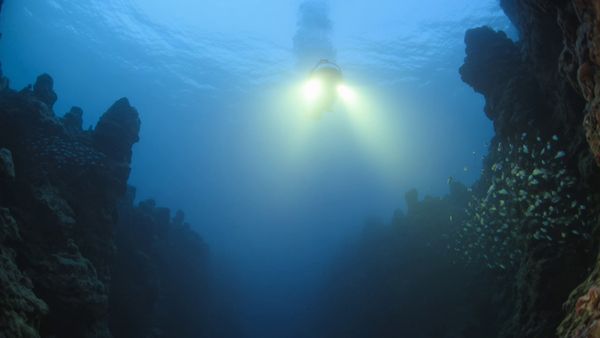 Wide shot: The camera glides over a vast underwater canyon, its jagged edges illuminated by shafts of sunlight piercing through the surface above. Schools of shimmering fish scatter as a submersible, its lights blazing like twin suns, descends deeper into the abyss, where a colossal, ancient statue encrusted with coral emerges from the shadows.